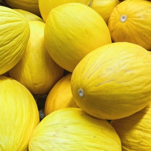 Семена дыни сорта Еллоу Канари