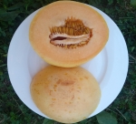 . Дыня Crane Melon (дыня Крейна)