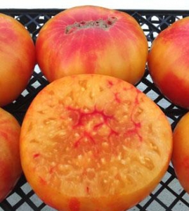 Семена сорта томата Регина жёлтая (Regina's Yellow) - Гиганты двуцветные