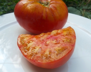 Семена томата сорта Звездная Пыль (Stardust) - Гиганты двуцветные