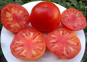 Семена томата сорта Zdravene de bacan (Здравене де Бакан) - Гиганты красные