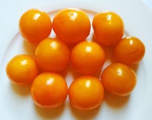 Семена сорта томата Золотой Алатау - Карликовые и штамбовые сорта