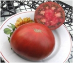 . Кавказский Черный 