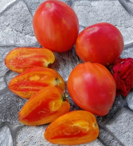 Семена томата сорта Королевское сердце - Гиганты сердцевидные