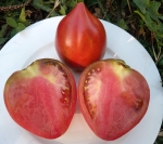 . Лонгхорн (Longhorn) 