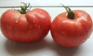 Семена томата сорта Малиновая глыба - Гиганты розовые
