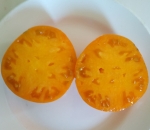 . Медовый спас