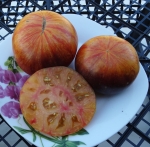 . Alice's Dream (Мечта Алисы) 