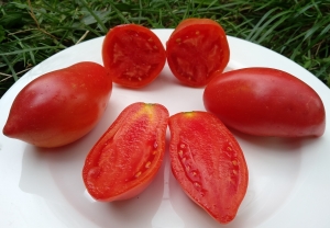 Семена томата сорта  Мустанг малиновый - Длинноплодные 