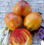 . Huge Tulip Festival (Огромный фестивальный тюльпан)