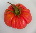 . Riccio Di Parma (Кудрявая Парма)