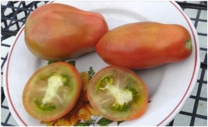 Семена томата сорта Pastel Sleeves (Пастельные Рукава) - Сливовидно-овальные