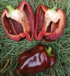 . Перец Гигант вишневый