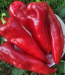 . Перец Красный гигант