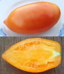 . Перцевидный оранжевый 