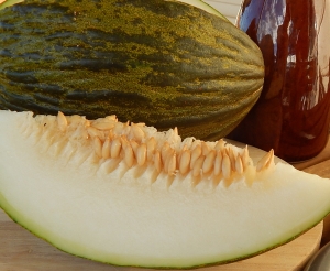 Семена дыни сорта Pino de Sapo