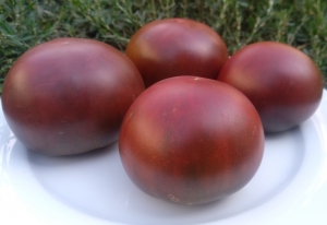 Семена сорта томата Owen’s Purple (Пурпурный Оуэна) - Шоколадные