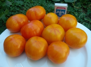 Семена томата сорта Dean’s Haley’s Rainbow (Радуга Дина Хейли) - Гномы