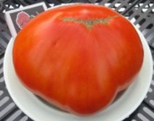 Семена томата сорта Рубиновые звезды - Гиганты сердцевидные 