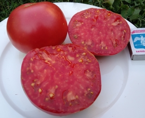 Семена томата сорта Саяногорский великан розовый - Гиганты розовые