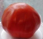 . Секрет моей тещи