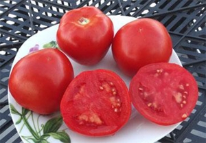 Семена томата сорта Семь гномов - Карликовые и штамбовые