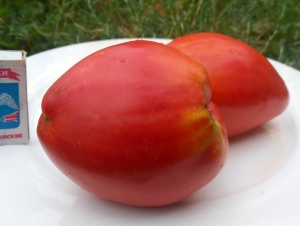 Семена сорта томата Kelli’s Heart (Сердце Келли) - Гиганты сердцевидные