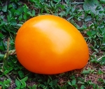 . Сердце Ашхабада