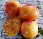 . Sgt. Peppers Orange (Сержант Пеппер оранжевый)