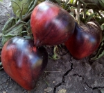 . Sgt. Peppers (Сержант Пеппер) 