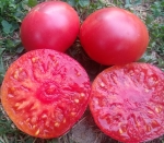 . Сибирские шаньги 