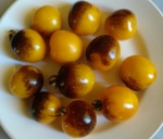 . Bosque Blue Bumblebee (Синий шмель Боске)