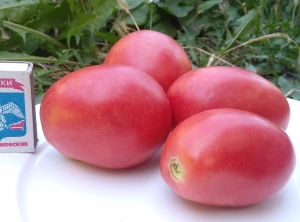 Семена сорта томата Солдатово - Высокорослые сливовидно-овальные