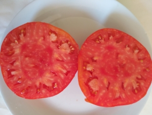 Семена томата сорта Спецназ - среднерослые томаты