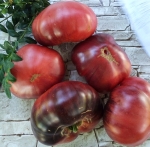 . Streets of broken lanterns (Улица разбитых фонарей)