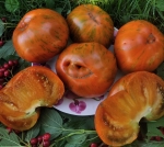 . Улыбка Сандры