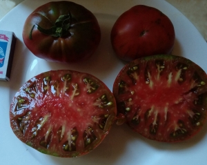 Семена томата сорта Черная магия - Шоколадные