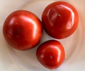 Семена томата сорта Черний консул - Шоколадные