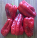 . Перец Черный конь