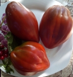 . Черный перец (Black Pepper)