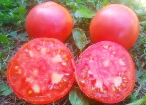 Семена сорта томата Чудо медовое - Гиганты розовые