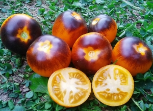 Семена томата сорта Шоколадный мармелад - Синие