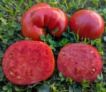 . Jarson-8 (Ярсон-8)