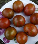 . Aftershock (Афтершок)