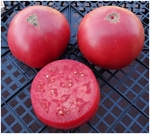 . Abe Hall (Эйб Холл) 