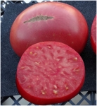 . African Queen (Африканская Королева) 