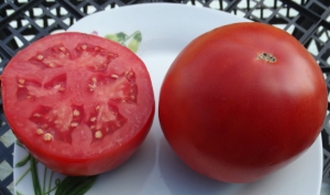 Семена томата сорта Agi (Аги, Эджи) - Среднерослые