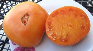 Семена томата сорта Apricot Brandywine (Абрикосовый Брэндивайн) - Гиганты желтые и оранжевые