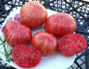 Семена сорта томата Big Chief Stripes (Большой полосатый Вождь) - Полосатые томаты