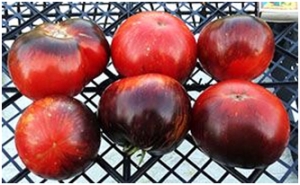 Семена томата сорта Black shadow (Черная тень) - Синие